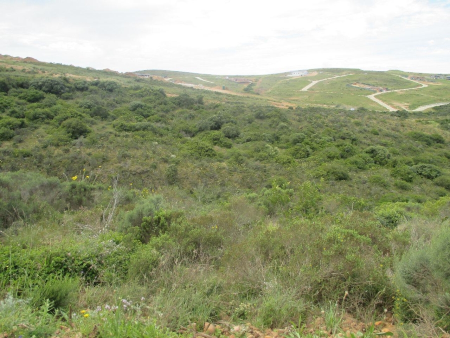 0 Bedroom Property for Sale in Outeniquasbosch Western Cape